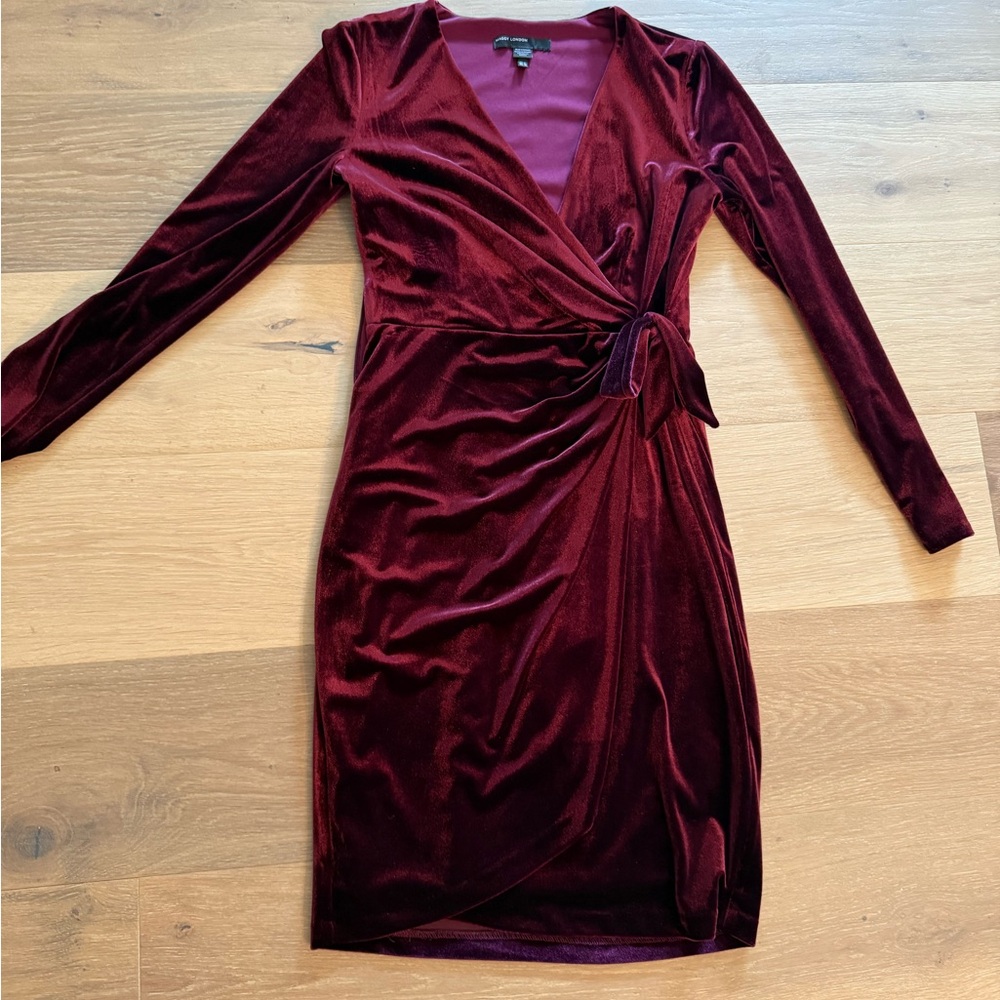 Maggy London Deep Red Velvet Long Sleeve Dress